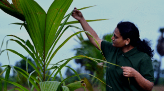 Varaha Secures $30.5M As Mirova Bets Big On Regen Farming