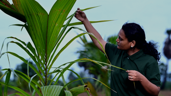 Varaha Secures $30.5M As Mirova Bets Big On Regen Farming