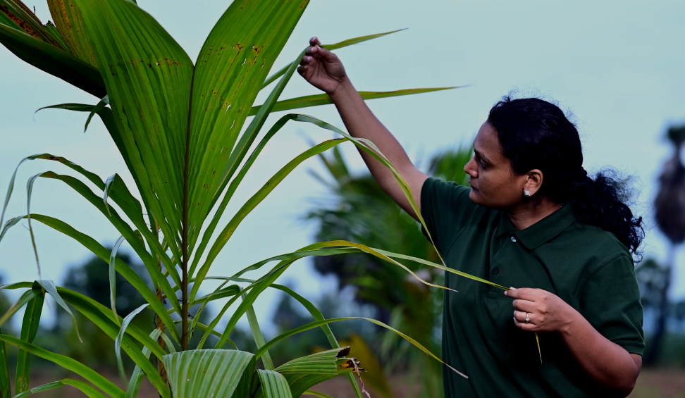 Varaha Secures $30.5M As Mirova Bets Big On Regen Farming